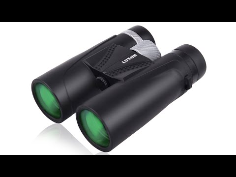 LUXUN  12×42 Binoculars for Adults HD Vision Black