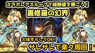 【パズドラ】ミラボレアスループで経験値を稼ごう！大体ずらし！裏修羅の幻界をサレサレで楽々周回！【裏魔門の守護者】