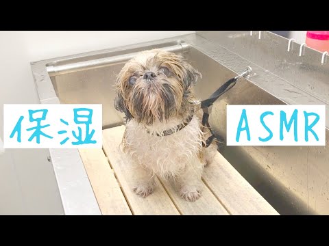 保湿スプレー【ASMR】