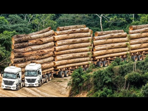 INCREDIBLE ! 135 Biggest Wood Logging Truck Industrial Machines Operator Skill At Another Level