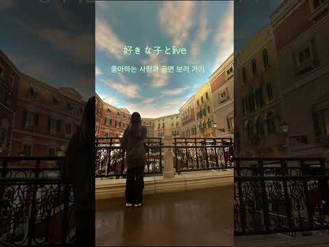 コレサワ♡人生♡ 韓国語Lyric Movie(♡ 인생♡) #コレサワ #ショート #人生 #tiktok #韓国 #歌詞