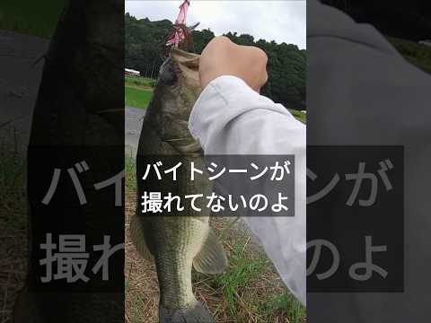 肝心なバイトシーンが撮れてないのよ。 #トップウォーター #bassfishing #アベンタクローラーバゼル