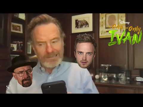 Bryan Cranston texts with theSkimm