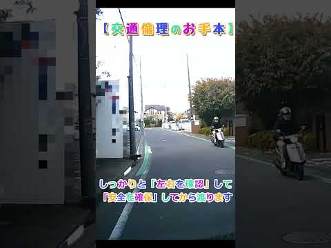 【ドラレコニュース】危険予測ができる道路を渡るタヌキさん＃Shorts