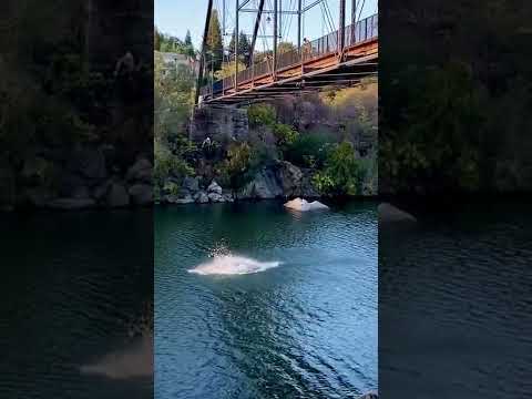 Dangerous Bridge Jumping