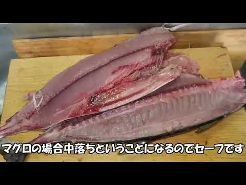 マグロ（一部無修正）