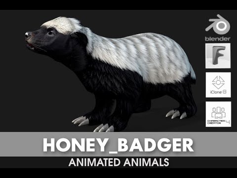 Honey Badger