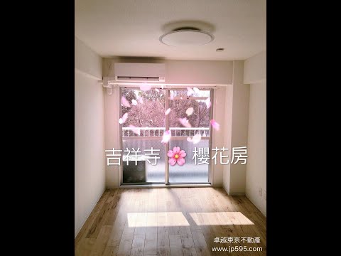 東京 吉祥寺櫻花房  🌸 卓越東京不動產 成功案例分享