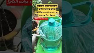 बाहेरगावी जाताना झाडांना पाणी घालायचा सोप्पा उपायAutomatic watering system forplants|Self watering