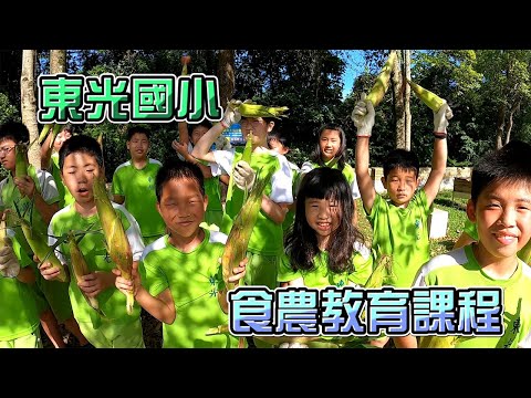 新竹縣關西鎮東光國小 【108學年度食農教育課程】