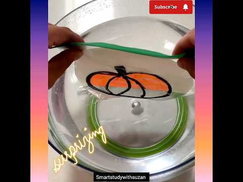 Magical activity 🎃 orange part is disappearing 🌈🎉|Fun activity 🎨🎉#shorts #trending#viral #shortvideo