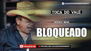 TOCA DO VALE BLOQUEADO | MUSICA NOVA 2022 #TOCADOVALE #FORROZAO