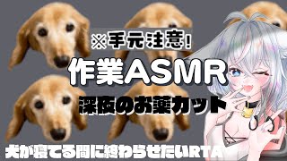 #asmr ここちゃん（犬）のお薬を半分にカットする！　※手元カメラ注意　#生活音