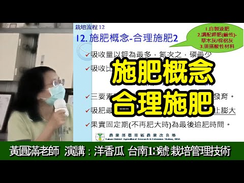 施肥概念 合理施肥 洋香瓜台南13號 栽培管理技術 黃圓滿老師