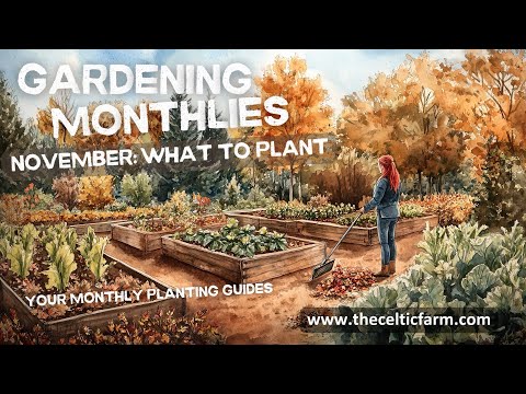 💥What to Plant in November for a Thriving Garden! 🌱 Top Veggies, Herbs, & Flowers Grow This Month!