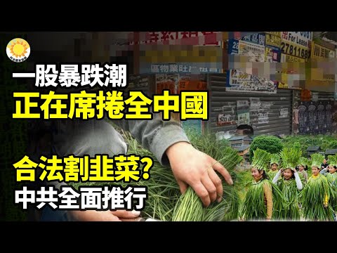 【財經】一股暴跌潮，正在席捲全中國；合法割韭菜？中共全面推行；北京正為艱難時期做準備；北京正為艱難時期做準備 ；軟銀CEO見川普，承諾投資美國1千億美元；中國進口車厘子斷崖式降價衝上熱【阿波羅網WI】