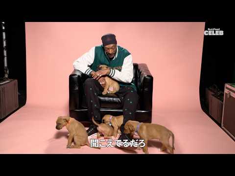 子犬が大暴れでも動じない！スヌープ・ドッグ、大量のわんこたちに囲まれながらインタビュー Snoop Dogg: The Puppy Interview