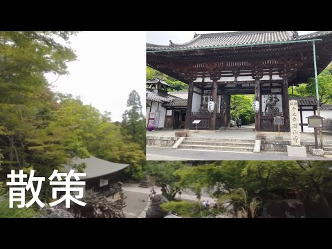 石山寺に行ってきた。