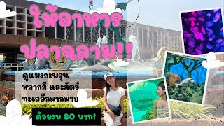 พิพิธภัณฑ์สัตว์น้ำบางแสน โซนใหม่ !! ว๊าวมากๆ || Bangsaen Aquarium