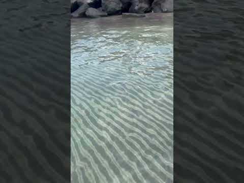 🏝️🏝️ Clear water in Tenerife 🏝️🏝️ Playa de Fanabe 🏝️🏝️#tenerife #canaryislands