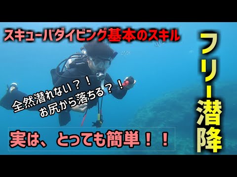 【沖縄ダイビング】基本のスキル　フリー潜降　ピンクマーメイド