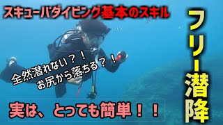 【沖縄ダイビング】基本のスキル　フリー潜降　ピンクマーメイド