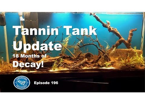 Tannin Tank update - 18 months of decay | Episode 196