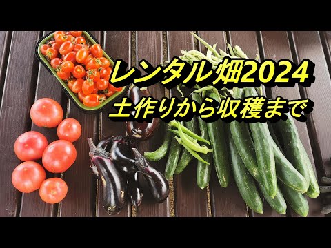 レンタル畑２０２４！土づくりから収穫まで