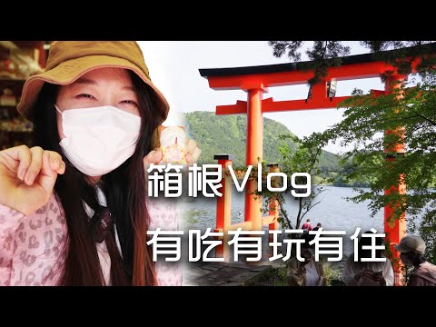 ⛩️富士山湖景 温泉旅馆  投资经营好项目！箱根吃玩住攻略