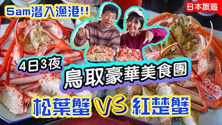 鳥取縣豪華美食團ep1｜松葉蟹vs紅楚蟹 哪款最好味最抵食? 幾時當造? ㊙️5am潛入漁港內部!! #日本旅遊 #日本美食 #鳥取縣