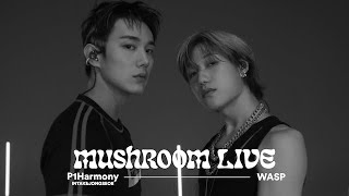 MUSHROOM LIVE SPECIAL 피원하모니 인탁 & 종섭 P1Harmony INTAK & JONGSEOB - WASP