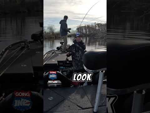 Winter Bass Fishing!