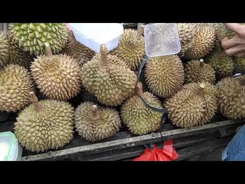 Purchasing Durian At Bankerohan Market in Davao Philippines