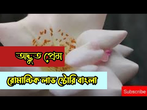 অদ্ভুত প্রেম || রোমান্টিক লাভ স্টোরি বাংলা ||Anika Dairy