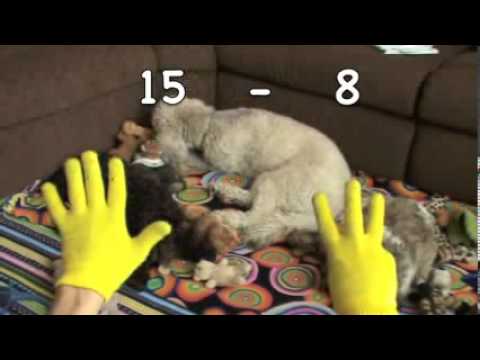 Subtraction For Children   4 of 5   Three Dogs