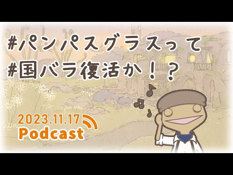 ガーデニングChoroChoroRadio#14♪ | 最新ガーデン情報｜パンパスグラスについて｜イカと国バラとパンパスグラスのソテー 2023.11.17ONAIR