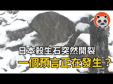 日本千年殺生石裂開，暗示日本國運走向？預言即將來臨？！【🐼熊貓周周】