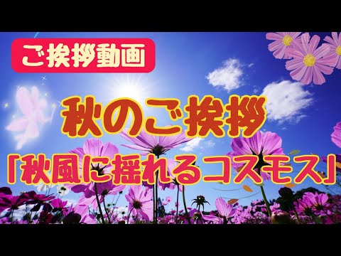 【ご挨拶動画】秋のご挨拶カード動画「秋風に揺れるコスモス」lLINEで送る無料グリーティングカード動画 💐