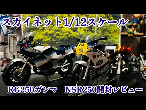 【1/12Scale Model】アオシマ スカイネットSUZUKI RG250γ HONDA NSR250R 開封レビュー AOSHMA