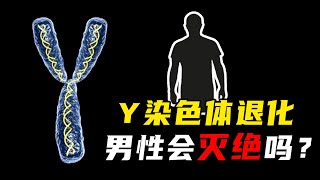 Y染色体越来越短，男性会消失吗？人类终将进化？