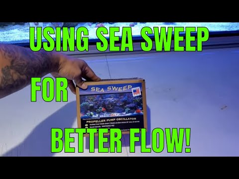 SEA SWEEP FOR MORE FLOW