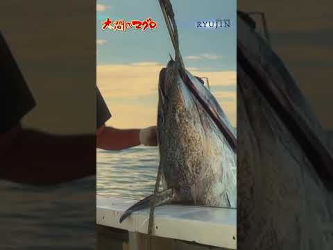 The skillful technique of landing the caught tuna in a small space on board the Oma Tuna