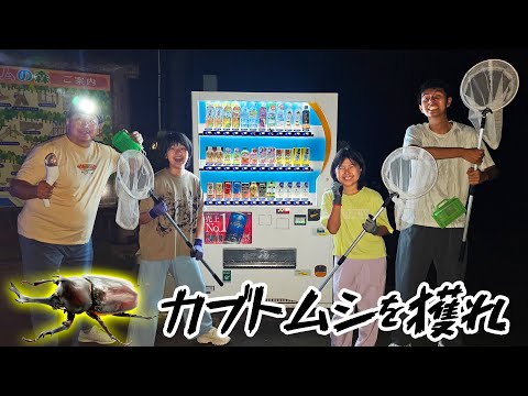 虫注意！！田舎なら自宅や夜の自販機でカブトムシ獲れる！説☆himawari-CH