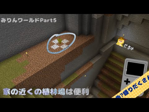 《マイクラ》みりんワールドPart5ー家の近くの植林場は便利ー