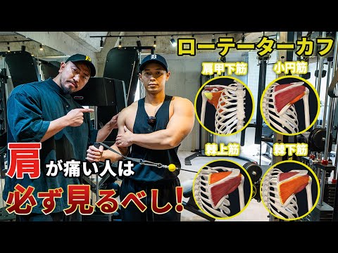 【筋肥大の鍵！？】ローテーターカフ（肩のインナーマッスル）を鍛えて安全に筋力アップしよう！【肩の痛みや詰まりのある人必見】