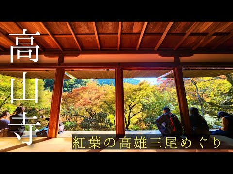 🍁京都紅葉2024🍁高山寺(高尾三尾)の紅葉ってどんな感じ？