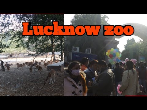 Lucknow Zoo/ लखनऊ का चिड़ियाघर / Nawab Wajid Ali Shah Zoological Garden/ Prani udyaan...