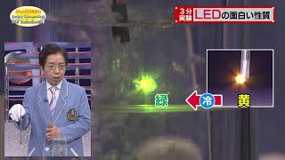 The Fascinating Properties of LEDs / Mr. Denjiro’s Happy Energy! #738