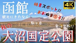 【函館 大沼公園】大沼だんごもお土産も見どころ満載！大満足！#函館なまり