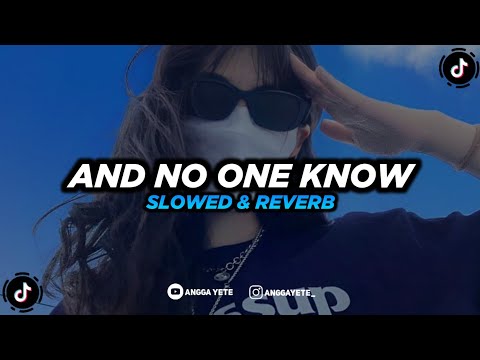 DJ And No One Know x Mashup India - Slow & Reverb 🎧